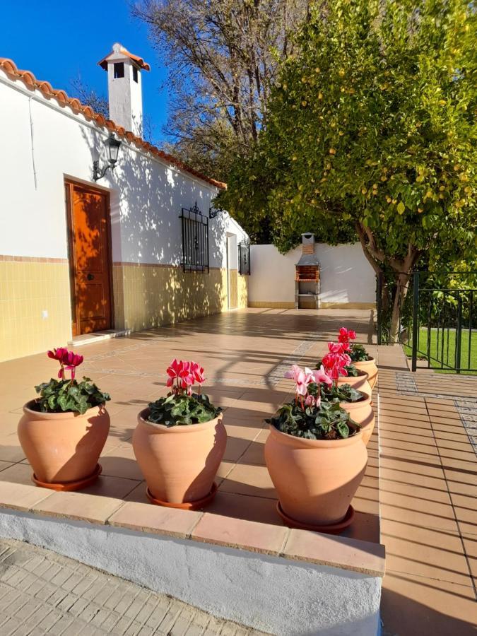 Alojamientos Rurales Villora Murcia Dış mekan fotoğraf